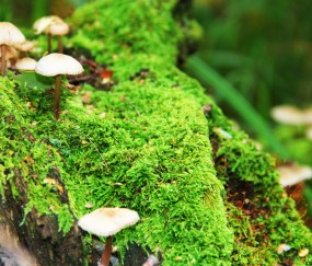 东莞top6供卵助孕生殖中心名单分享，附供卵管成功率、费用预算！