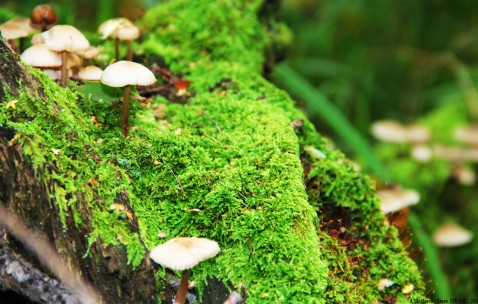 东莞top6供卵助孕生殖中心名单分享，供卵助孕各阶段费用参考！